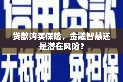 榆树贷款购买保险，金融智慧还是潜在风险？