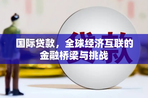 榆树国际贷款，全球经济互联的金融桥梁与挑战