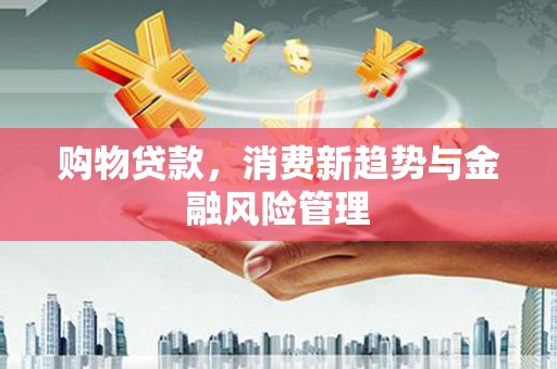榆树购物贷款，消费新趋势与金融风险管理