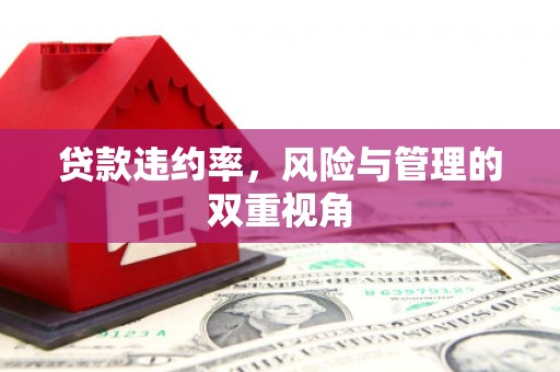 榆树贷款违约率，风险与管理的双重视角