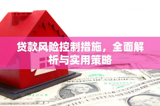榆树贷款风险控制措施，全面解析与实用策略