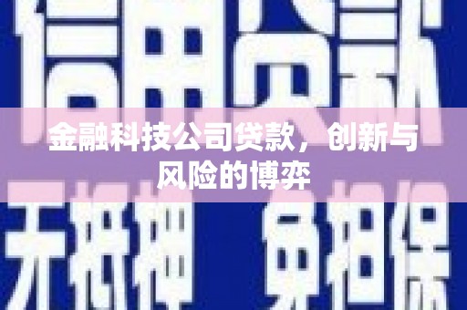 榆树金融科技公司贷款，创新与风险的博弈