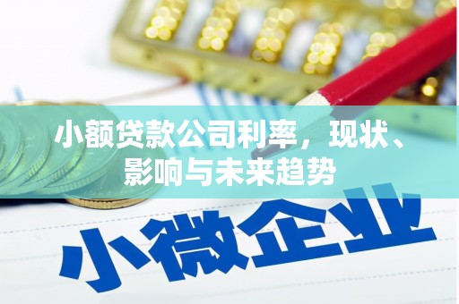 榆树小额贷款公司利率，现状、影响与未来趋势