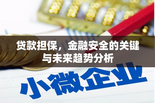 榆树贷款担保，金融安全的关键与未来趋势分析