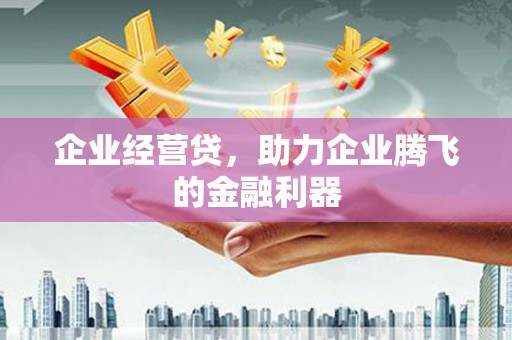 榆树企业经营贷，助力企业腾飞的金融利器