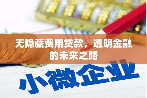 榆树无隐藏费用贷款，透明金融的未来之路