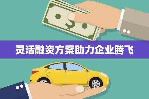 榆树灵活融资方案助力企业腾飞