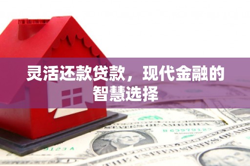 榆树灵活还款贷款，现代金融的智慧选择