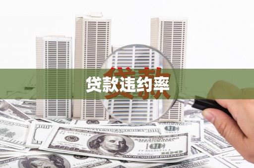 榆树贷款违约率