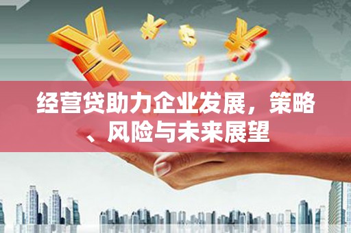 榆树经营贷助力企业发展，策略、风险与未来展望