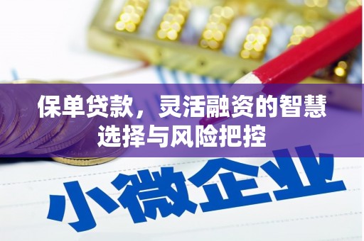 榆树保单贷款，灵活融资的智慧选择与风险把控