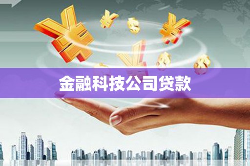 榆树金融科技公司贷款