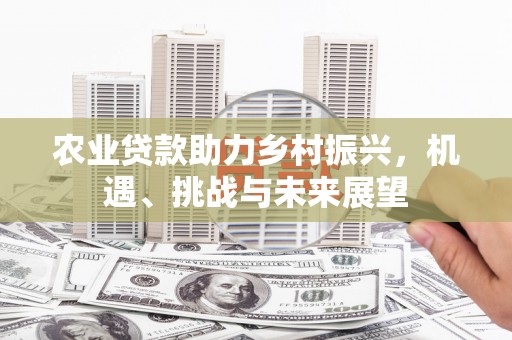 榆树农业贷款助力乡村振兴，机遇、挑战与未来展望