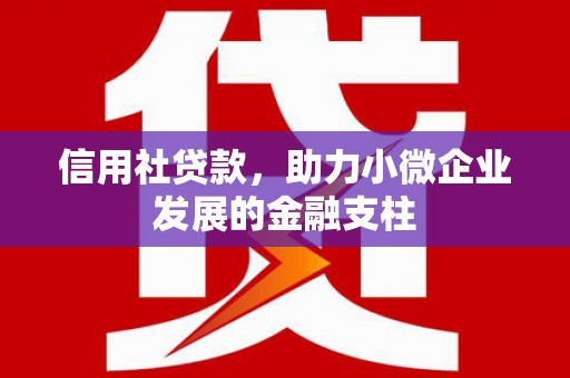 榆树信用社贷款，助力小微企业发展的金融支柱