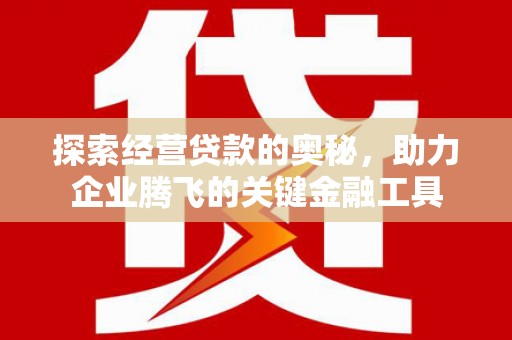 榆树探索经营贷款的奥秘，助力企业腾飞的关键金融工具