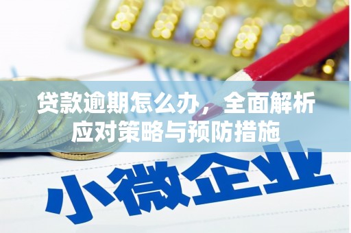 榆树贷款逾期怎么办，全面解析应对策略与预防措施