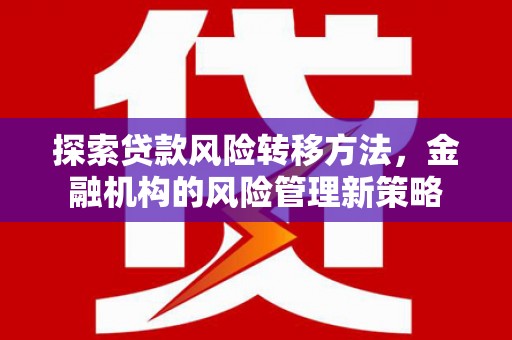 榆树探索贷款风险转移方法，金融机构的风险管理新策略