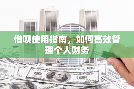 榆树借呗使用指南，如何高效管理个人财务