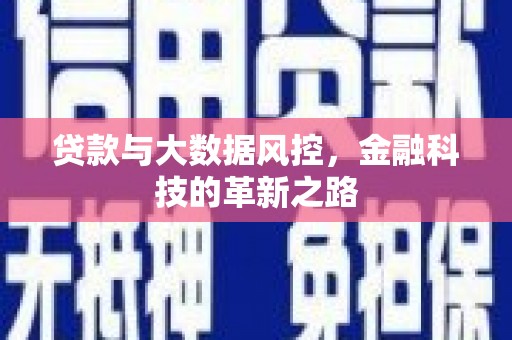 榆树贷款与大数据风控，金融科技的革新之路