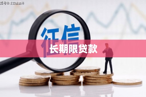 榆树长期限贷款
