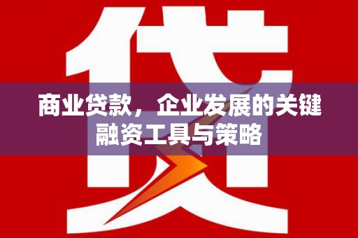 榆树商业贷款，企业发展的关键融资工具与策略