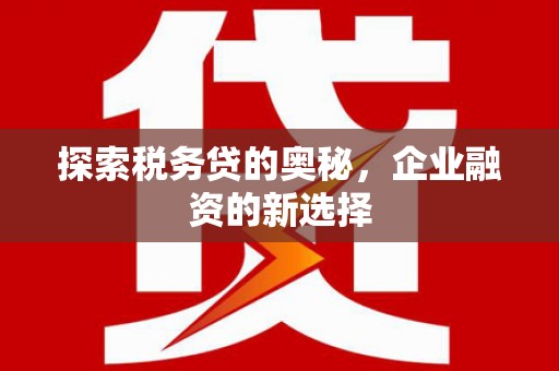 榆树探索税务贷的奥秘，企业融资的新选择