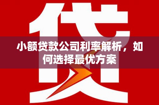 榆树小额贷款公司利率解析，如何选择最优方案