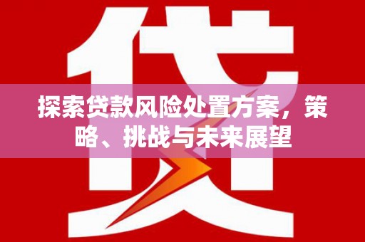 榆树探索贷款风险处置方案，策略、挑战与未来展望