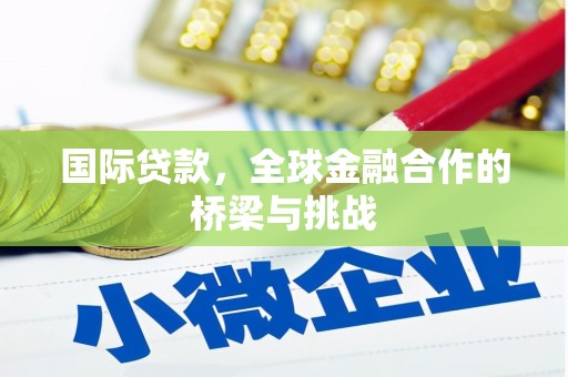 榆树国际贷款，全球金融合作的桥梁与挑战
