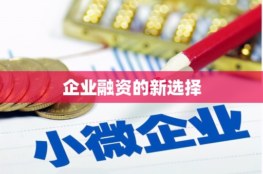 榆树企业融资的新选择