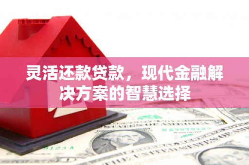 榆树灵活还款贷款，现代金融解决方案的智慧选择