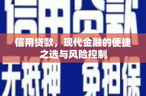 榆树信用贷款，现代金融的便捷之选与风险控制