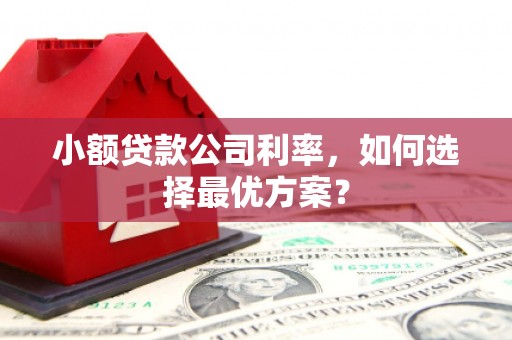 榆树小额贷款公司利率，如何选择最优方案？