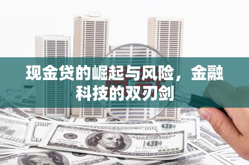 榆树现金贷的崛起与风险，金融科技的双刃剑
