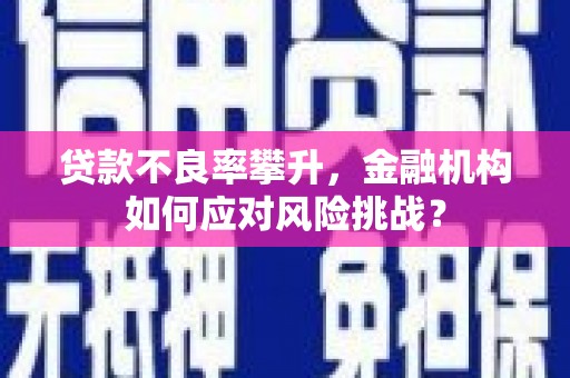 榆树贷款不良率攀升，金融机构如何应对风险挑战？