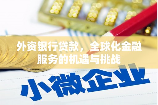 榆树外资银行贷款，全球化金融服务的机遇与挑战