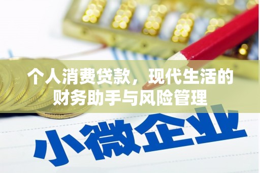 榆树个人消费贷款，现代生活的财务助手与风险管理