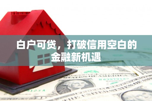 榆树白户可贷，打破信用空白的金融新机遇
