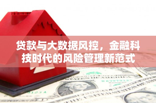榆树贷款与大数据风控，金融科技时代的风险管理新范式