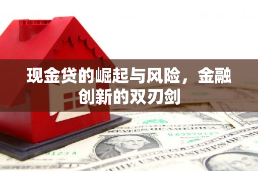 榆树现金贷的崛起与风险，金融创新的双刃剑