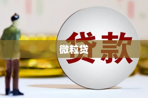 榆树微粒贷