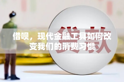 榆树借呗，现代金融工具如何改变我们的消费习惯
