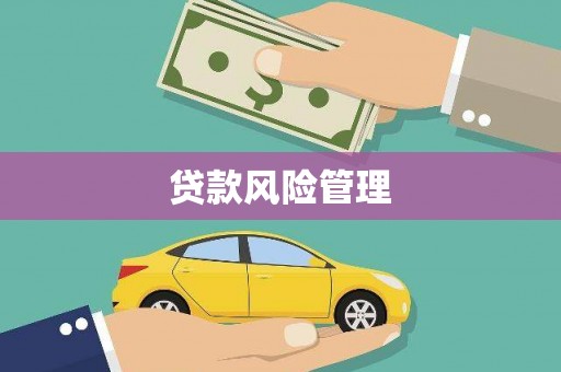 榆树贷款风险管理