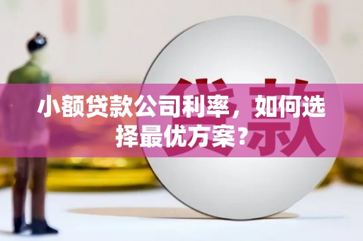 榆树小额贷款公司利率，如何选择最优方案？