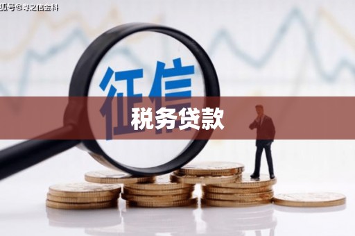 榆树税务贷款