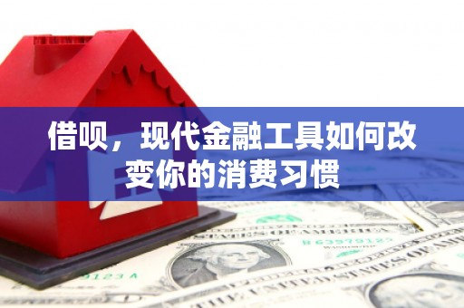 榆树借呗，现代金融工具如何改变你的消费习惯