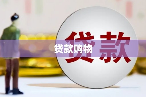 榆树贷款购物