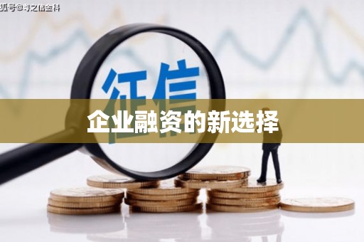 榆树企业融资的新选择