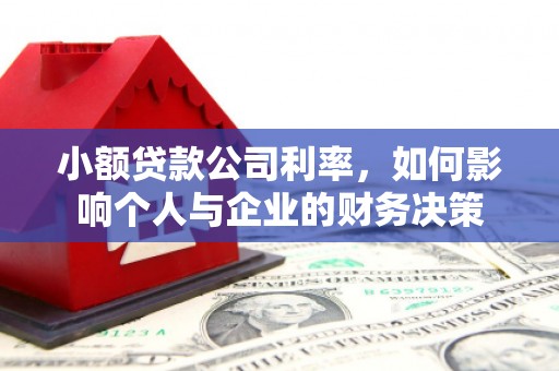 榆树小额贷款公司利率，如何影响个人与企业的财务决策