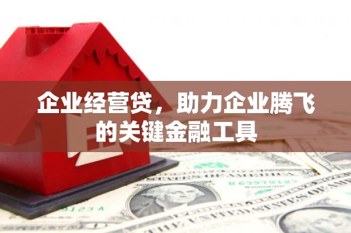 榆树企业经营贷，助力企业腾飞的关键金融工具